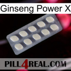 Ginseng Power X 08